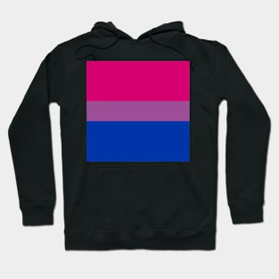 bi flag Hoodie